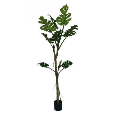 China High Quality Minimalist Artificial Green Decorative Plant Hawaii Simulation Palm Tree 180cm Artificial Tree Te koop