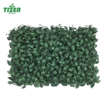 Chine Tizen Minimalist UV Outdoor Jungle Hedge Vertical Fake Grass Plants Wall Hanging Plant Green Artificial Grass Wall For Home Decoration à vendre