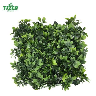 Chine Minimalist Tizen Customized Plastic Artificial Faux Greenery Panel Boxwood Boxwood Plants Topiary Panels For Garden Decoration à vendre