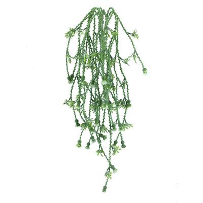 中国 Suitable for indoor decoration and real touch placement OEM/ODM artificial flower cirrus vine hanging greenery plant for indoor outdoor decoration home wedding wall 販売のため