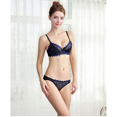 China France factory hot sexy QUICK DRY QUICK DRY embroidery bra set women's embroidery bra set for sale