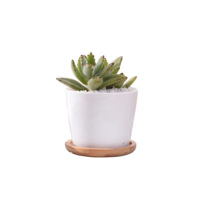 China No Factory High Quality Decorative Home Garden Mini Ceramic Flower Pot With White Bamboo Tray for sale