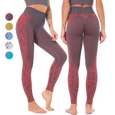 China Hot Selling Sexy Copy Seamless Sportswear Leopard Small Booty-lifting Slim Yoga Running Sports Fitness Training Pants for sale