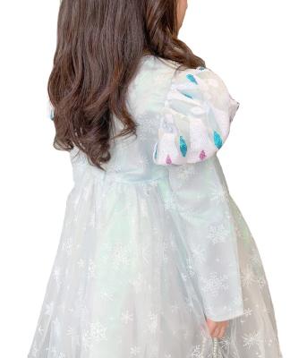 China Viable Princess Elsa Dress Stylish Long Sleeve Autumn Bubble Sleeve 2021 Birthday Dress for sale