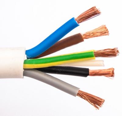 China Building Core Conductor System Multi Controls Cable 450v / 750v Copper Flexible Control Cable for sale