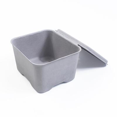 Cina FSC Biodegradable Pulp Containers Gray Products Custom Molded Pulp Packaging With Lid in vendita