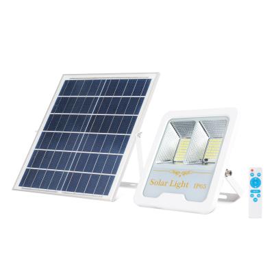 China HESHI garden unborn garden high quality ip65 hot sale price dust 100w solar flood light for garden pathway country side with outdoor for sale