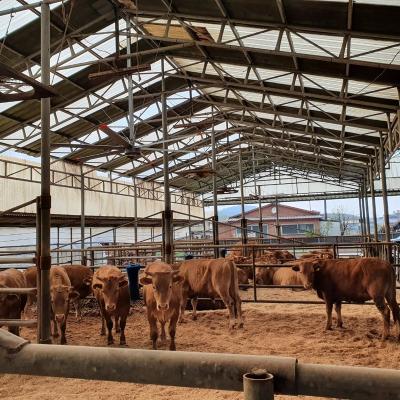 China 600 square meter factory price big donkey fan for farm for sale