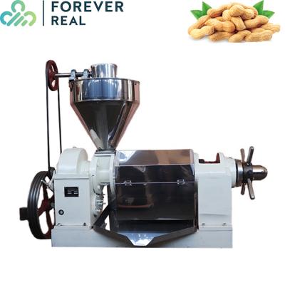 China Factory 10-12T/D Grape Seed Oil Press Machine Seed Flaxseed Oil Press Machine Seed Oil Moringa Presser for sale