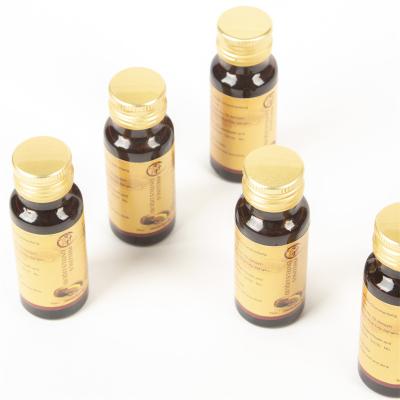 China Specially made to health care product 100% Natural Herb Phellinus Linteus Sanghuang Liquid C-3 for sale