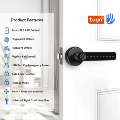 China Waterproof/Waterproof Handle Fingerprint Smart Door Lock with Tuya or TTlock for sale