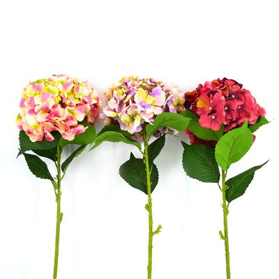 China Hot Selling Silk Cheap Wholesale Artificial Flowers Natural Touch Spring Color Hydrangea for sale