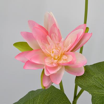 China Natural Artificial Touch Decor Water Lotus Flower Pond Decor Water Lily for sale