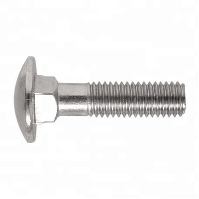 China Carbon steel stainless steel carriage bolt ss304 ss316 metric inch size for sale