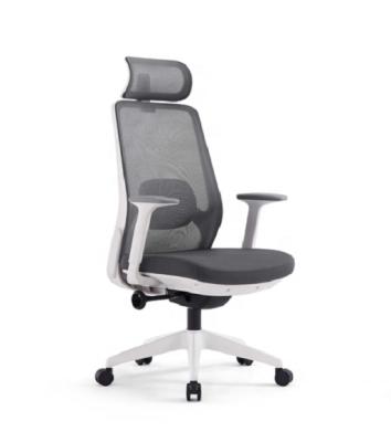 China Foshan LK Office Furniture Modern Professional Mesh Fabric Computer Seats With pp Ergonomic Armrest for sale