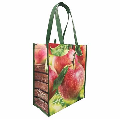 China Recyclable Recyclable New Design Rept Apple Type Custom Reusable Shopping Bag for sale