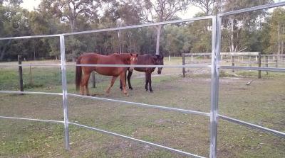 China 22 Portable Horse Stall Panels Inc Gate, Round Yard, Cattle Fences, Corral 15m Diameter for sale