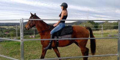 China Horse Yard Panels For Sale 20 Meter,Australia Style Corral,Cattle Yards for sale