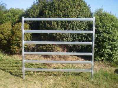 China 40x40 1.8M x 2.1M Heavy Duty Cattle Corral Panels For Sale 6 Oval Bars 30*60mm for sale