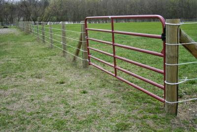 China Gate 5 Bar 16' (4800mm) - Farm Field Brisbane Pick up for sale