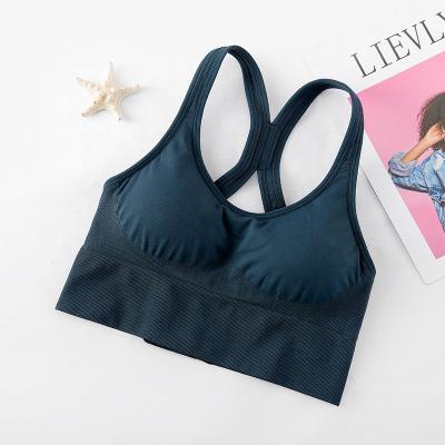 China New Arrival Women Sports Yoga Bras Fitness Seamless Push Up Wire Free Bra for sale