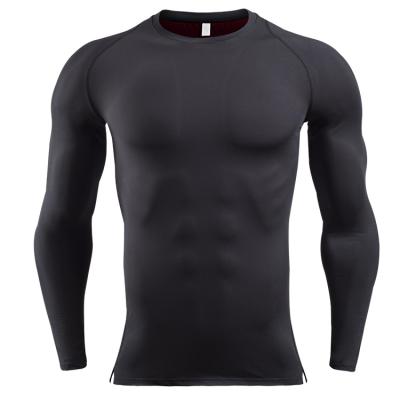 China Dropshipping Anti-Wrinkle Long Sleeve Sportswear Summer Gym Fitness Tops Quick Dry Sports Use Sports Mens T-shirt for sale