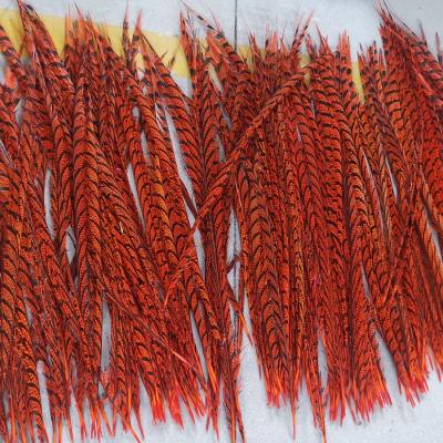 China #Cheaper feather colored feather white and color pheasant carnival decoration feather material for sale