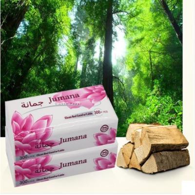 China Facial Tissue Paper NO--Embossing Pocket Tissue Virgin Wood Pulp Tissue Paper White Flower, Two Ply, 300 PCS, Toilet Paper for sale