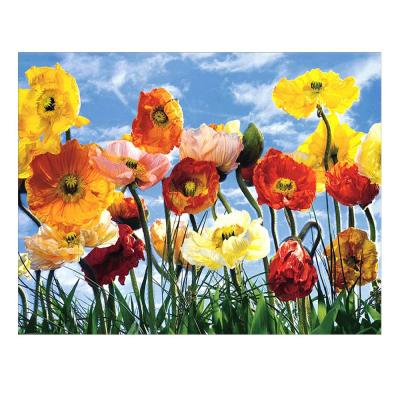 China 140042757 Wholesale Flowers DIY Oil Painting By Numbers Hand Painted Oil Painting On Canvas For Home Decor for sale