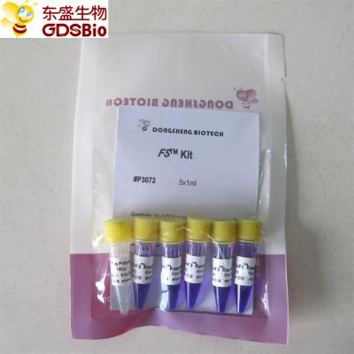 China DNA-RNS Rumpfstation PCR-Vorlagenmischung PCR-Kit For Nukleinsäure-Entdeckung P3072 1ml×5 zu verkaufen