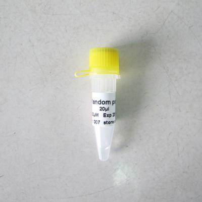 China R2031 20uL Random Hexamer Primer 6-Mer Colourless Appearance for sale