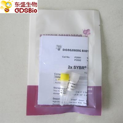 China Aspecto descolorido principal de la mezcla QPCR P2092 del verde en tiempo real de SYBR en venta