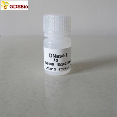 China ADNasa pulverizo productos de diagnóstico ines vitro de N9066 1g en venta