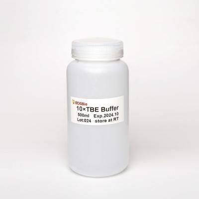 China DNA 10X TBE Buffer In Gel Electrophoresis 500ml GDSBio for sale