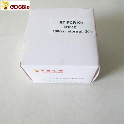 中国 RNA Reverse Transcriptase RT-PCR Reagents First Strand CDNA Synthesis Kit R1011 R1012 販売のため