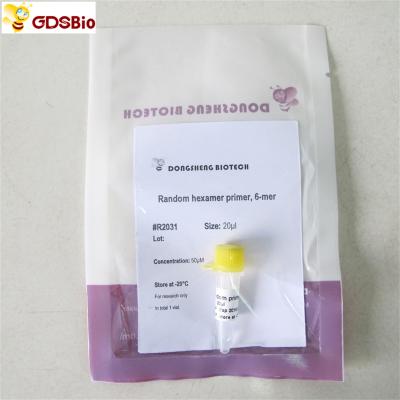 中国 R2031 20uL Random Hexamer RNA Reverse Transcriptase Primer 6-Mer 販売のため