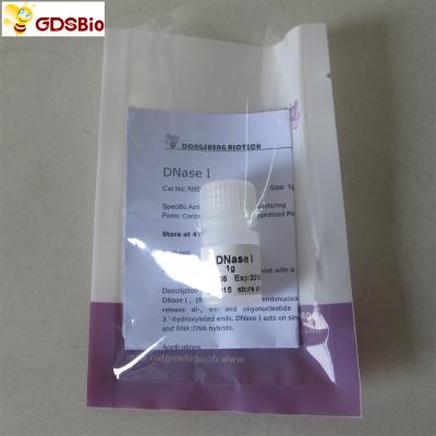 China White Lyophilized Powder DNase I Powder N9069 1g BR Grade zu verkaufen