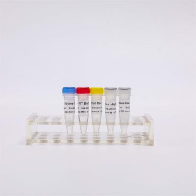 中国 R1031 GDSBio First Strand CDNA Synthesis RT-PCR Mix For QPCR Premixed RNA Reverse Transcriptase PCR Reagents 販売のため