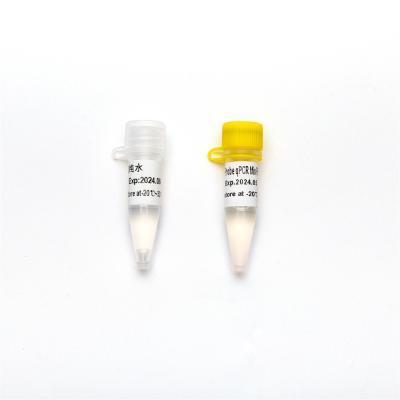 China P2801-3 Direct Multiplex Probe Master Mix For Real Time PCR With Udg Enzyme 1ml for sale