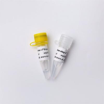 中国 One Step RNA/DNA RT QPCR Master Mix With UDG V3 販売のため