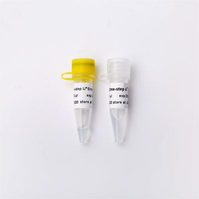 中国 High Specificity One Step RNA/DNA RT QPCR Master Mix With UDG V3 販売のため