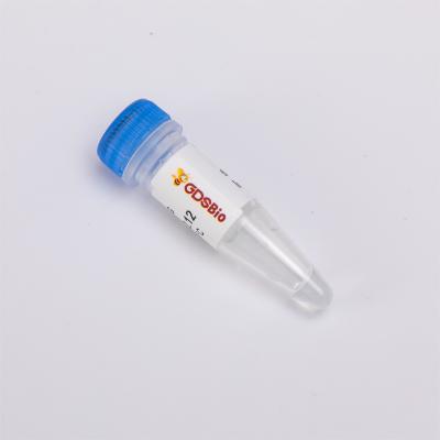 China T4 Gen 32 Protein #P1121 zu verkaufen