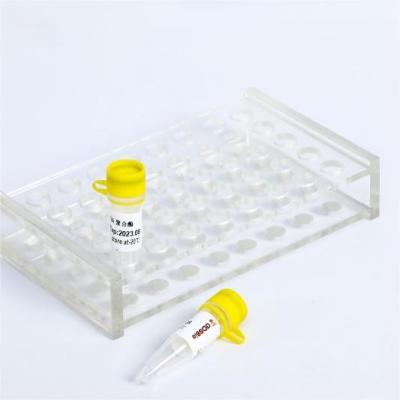 China SuperII Hotstart Taq Polymerase P1211/P1212/P1213/P1214 zu verkaufen