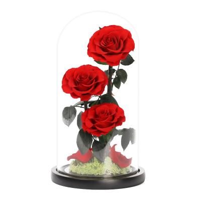 China Decoration gift box glass cover immortal flower rose flower home wedding decoration flower for sale