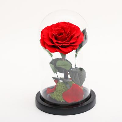 China Decoration Gift Box Glass Cover Immortal Flower Single Head Rose Flower For Lover Wedding Decoration Red Purple Rose Large for sale