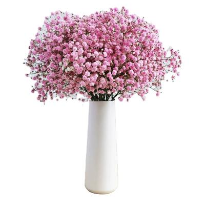 China Dried Flowers Wholesale Hot Dried Real Touch Flower Decoration Baby's Breath Holiday Wedding Event Decoration for sale