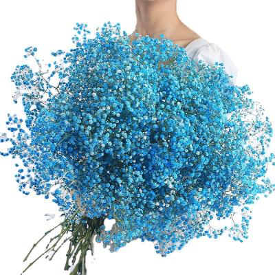 China Dry flowers wholesale hot sale really natural large group of dry flowers and crystal fresh grass flower party decoration for sale