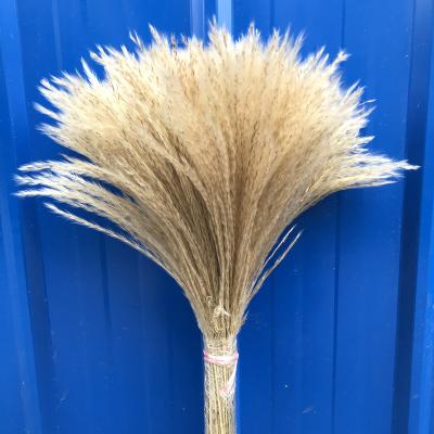 China Natural Dry Tubular Immortal Soap Flower Flower Window Decoration Wedding Decor Shooting Props for sale