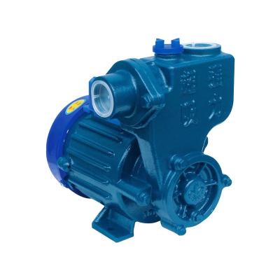 China Household 0.2HP Head Of Family Homes 30 Meter JET Electric Self Priming Water Pump for sale