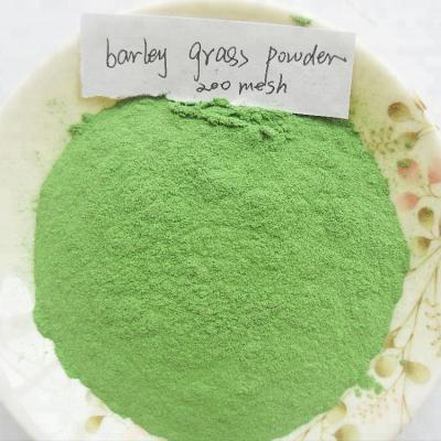 China Bulk Nutritious Dry Barley Grass Powder Barley Grass Powder for sale